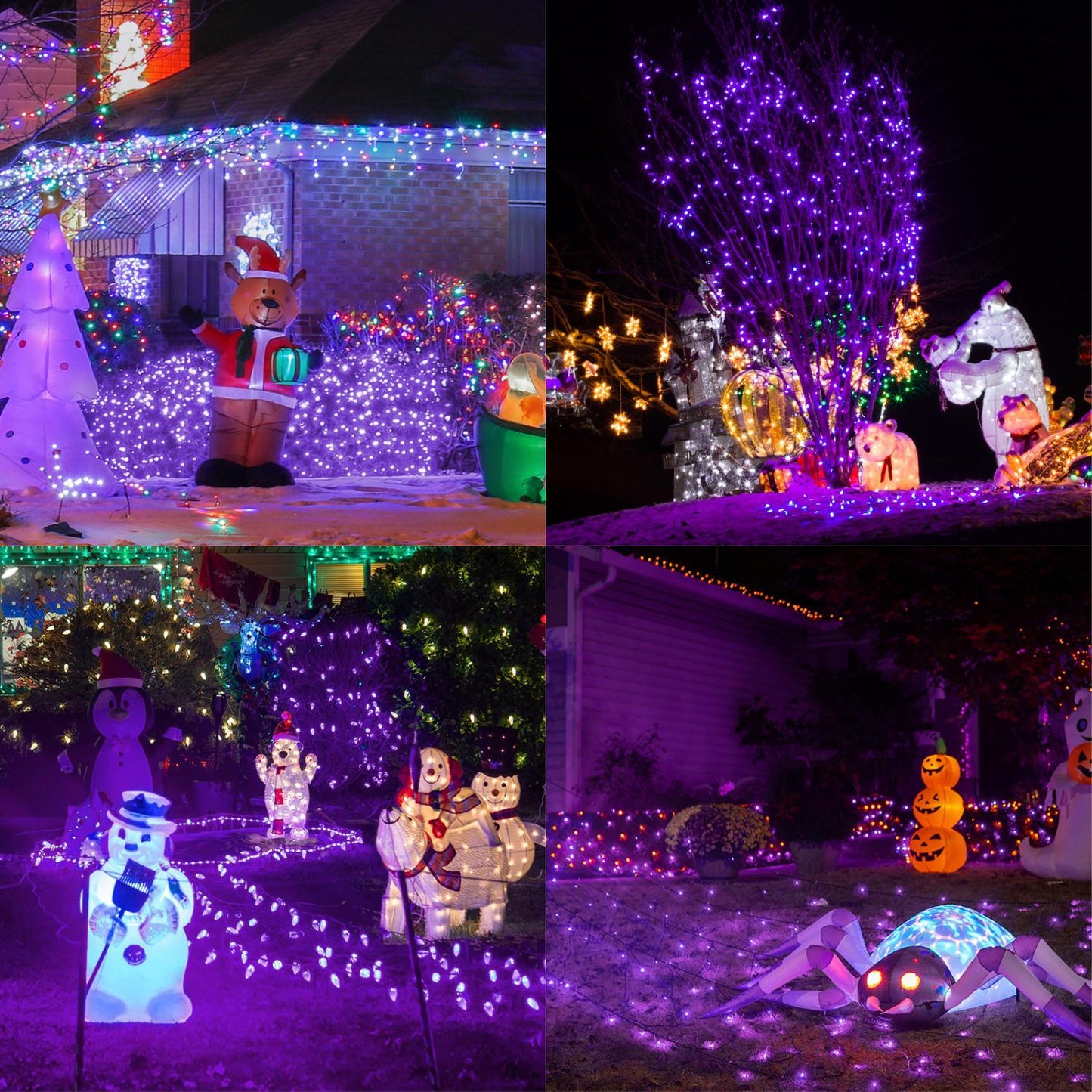 Purple Halloween Fairy Lights (66ft)