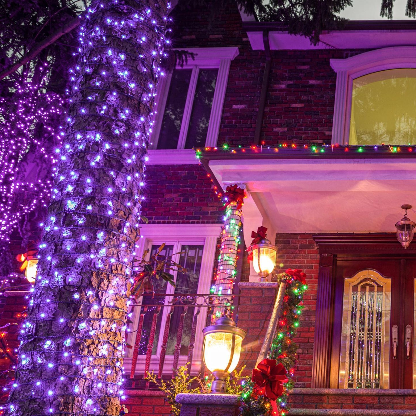 Purple Halloween Fairy Lights (66ft)