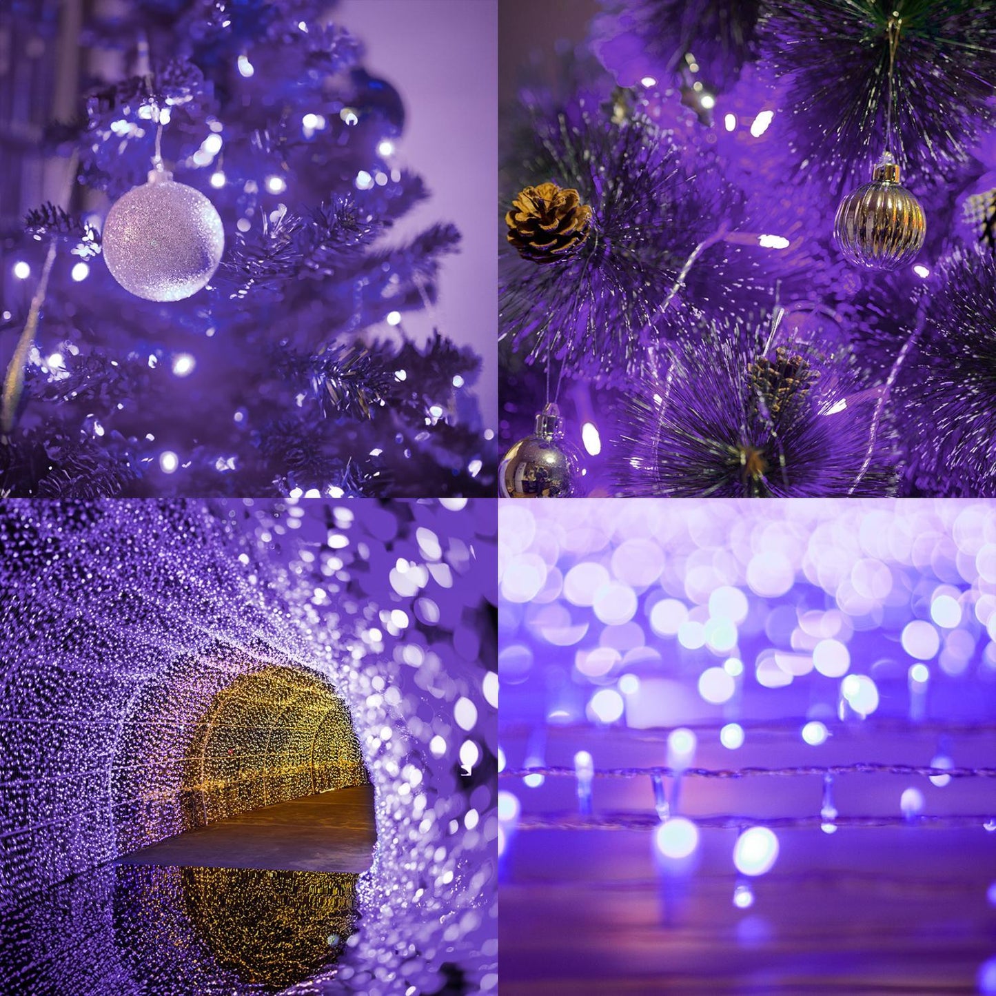 Purple Halloween Fairy Lights (66ft)